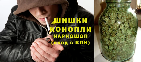 гашик Чегем