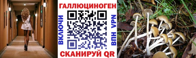 Галлюциногенные грибы ЛСД  Тутаев 